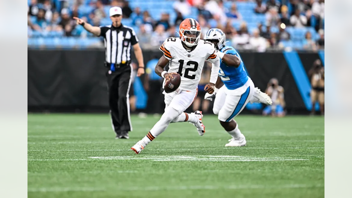 cleveland browns vs carolina panthers match player stats
